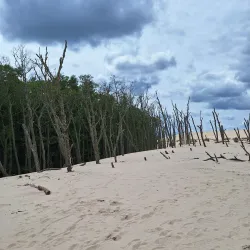 Lake Łebsko (Jezioro Łebsko) - Lebork