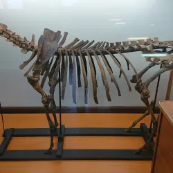 Lębork Museum (Muzeum w Lęborku) - Lebork