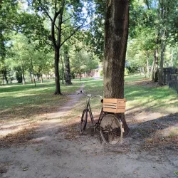 Park Miejski (City Park) - Lebork