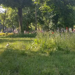 Park Miejski (City Park) - Lebork