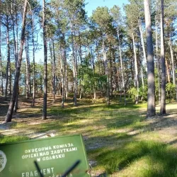 St. Nicholas Church (Kościół św. Mikołaja) - Lebork