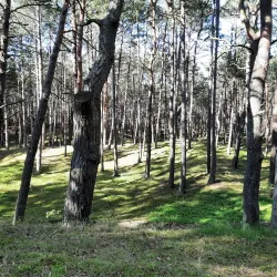 St. Nicholas Church (Kościół św. Mikołaja) - Lebork