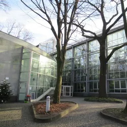 Palm House in Lodz - Lodz