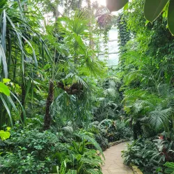 Palm House in Lodz - Lodz