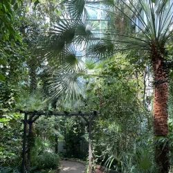 Palm House in Lodz - Lodz