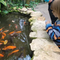 Palm House in Lodz - Lodz