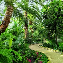 Palm House in Lodz - Lodz