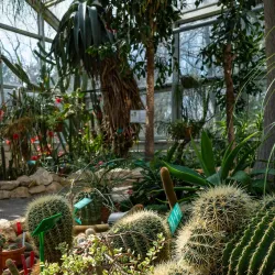 Palm House in Lodz - Lodz