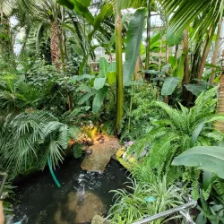 Palm House in Lodz - Lodz