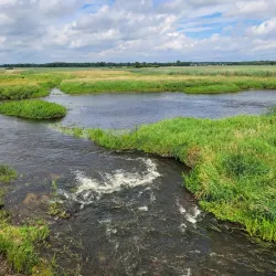 Narew National Park - Lomza