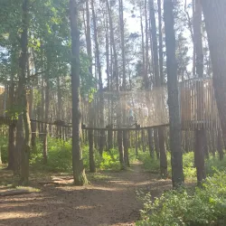 Lubin City Park - Lubin