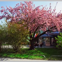 Lubin Cultural Center - Lubin