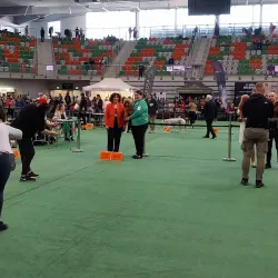 Lubin Sports Complex - Lubin