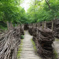 Park Leśny (Forest Park) - Lubin