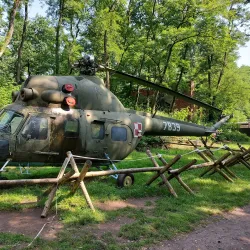 Park Leśny (Forest Park) - Lubin