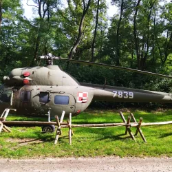 Park Leśny (Forest Park) - Lubin