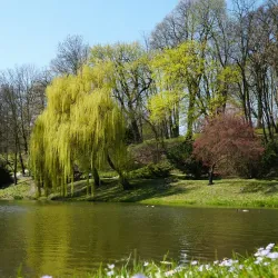 Botanical Garden of Maria Curie-Skłodowska University - Lublin