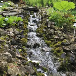 Botanical Garden of Maria Curie-Skłodowska University - Lublin
