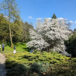 Botanical Garden of Maria Curie-Skłodowska University - Lublin