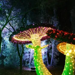 Botanical Garden of Maria Curie-Skłodowska University - Lublin