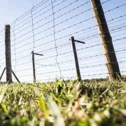 Majdanek State Museum - Lublin