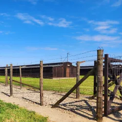 Majdanek State Museum - Lublin