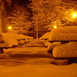 Lubliniec Park - Lubliniec