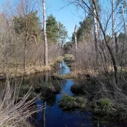 Nature Reserve 'Buczyna Lubliniecka' - Lubliniec