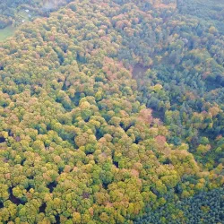 Nature Reserve 'Buczyna Lubliniecka' - Lubliniec