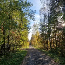 Nature Reserve 'Buczyna Lubliniecka' - Lubliniec