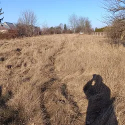 Jewish Cemetery in Łuków - Lukow