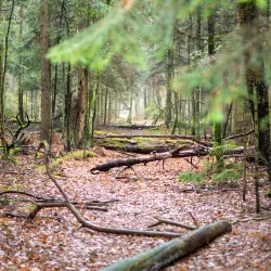 Nature Reserve "Jata" - Lukow