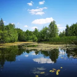 Nature Reserve "Jata" - Lukow
