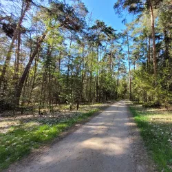 Nature Reserve "Jata" - Lukow