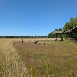 Nature Reserve "Jata" - Lukow