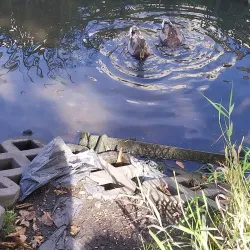 Park Miejski (City Park) - Lukow