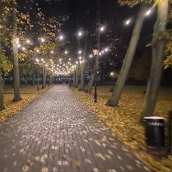 Park Miejski (City Park) - Lukow