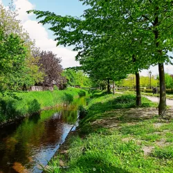 Park Miejski (City Park) - Lukow