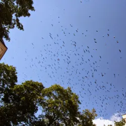 St. Joseph's Church - Lukow