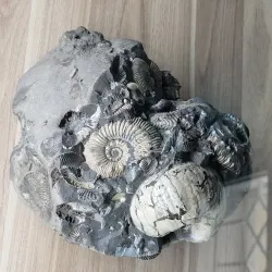 Łuków Museum - Lukow