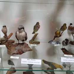 Museum of Olesno Land - Olesno