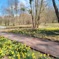 Park Centralny (Central Park) - Olsztyn