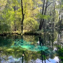 Natural Reserve near Opoczno - Opoczno