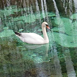 Natural Reserve near Opoczno - Opoczno