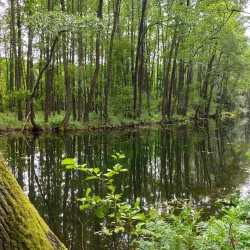 Natural Reserve near Opoczno - Opoczno