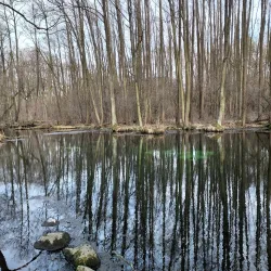 Natural Reserve near Opoczno - Opoczno