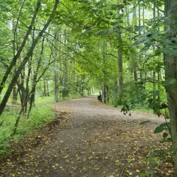 Natural Reserve near Opoczno - Opoczno