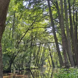 Natural Reserve near Opoczno - Opoczno