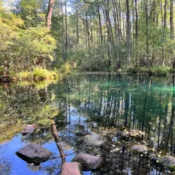 Natural Reserve near Opoczno - Opoczno