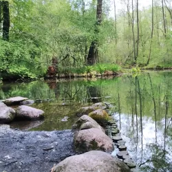 Natural Reserve near Opoczno - Opoczno